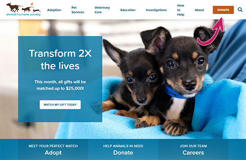 Two puppies on blanket, humane society donation campaign.