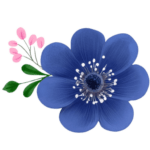 Blue flower with pink buds on black background