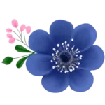 Blue flower with pink buds on black background