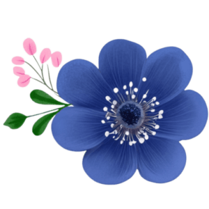 Blue flower with pink buds on black background