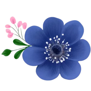 Blue flower with pink buds on black background