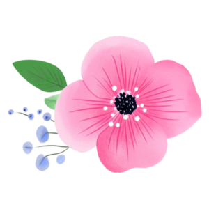 Illustration of a pink flower with dark center