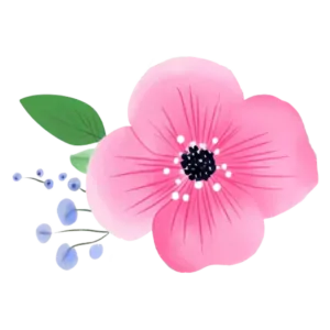 Illustration of a pink flower with dark center