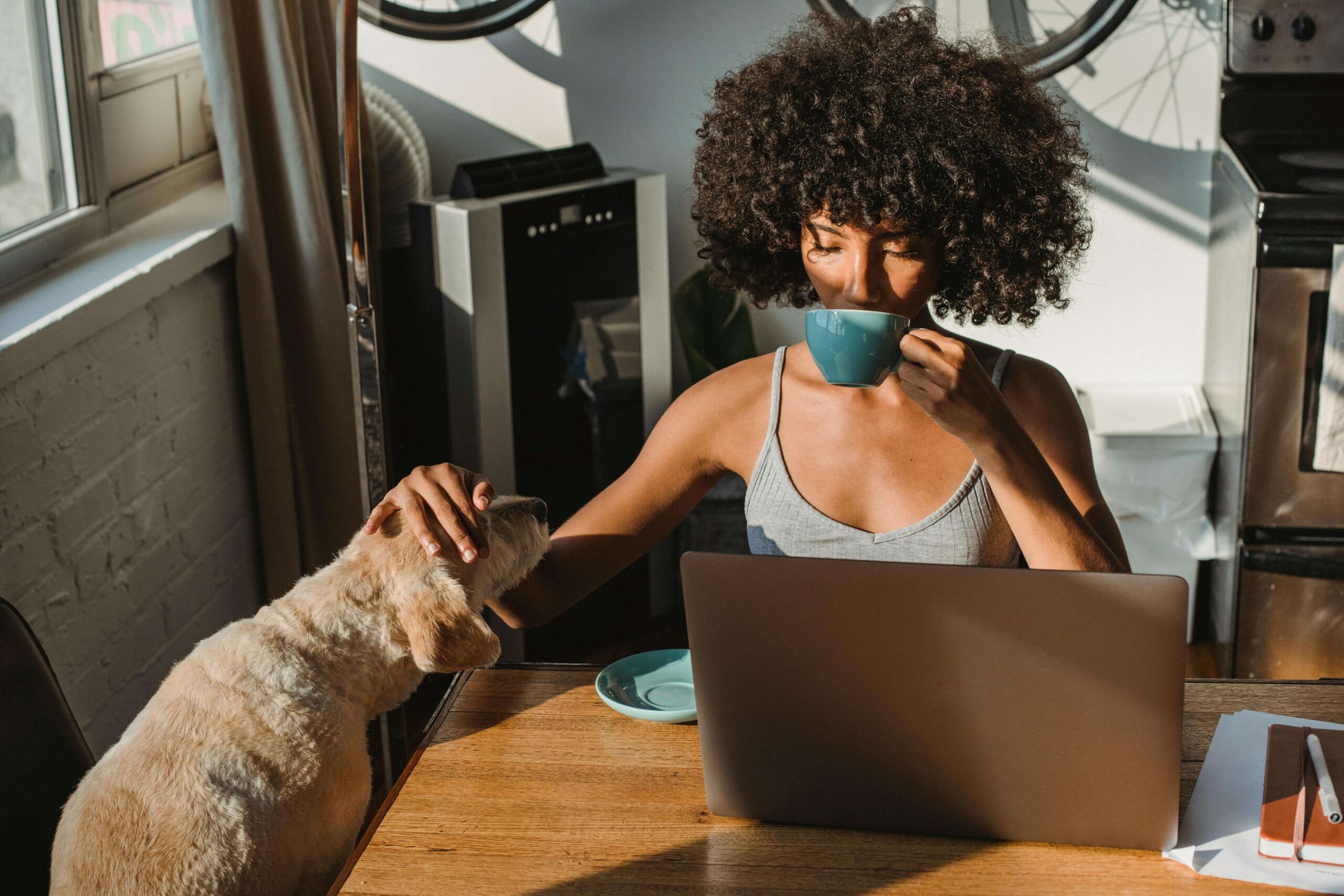 Woman drinking coffee and petting dog at laptop