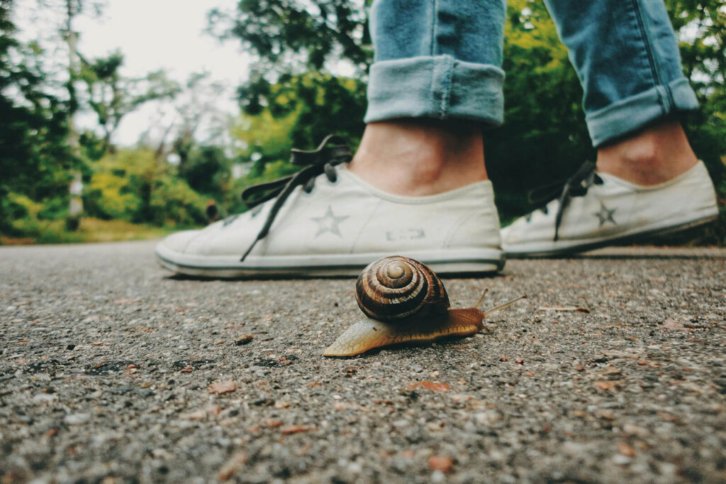 Snail crawling near person's shoes on a path