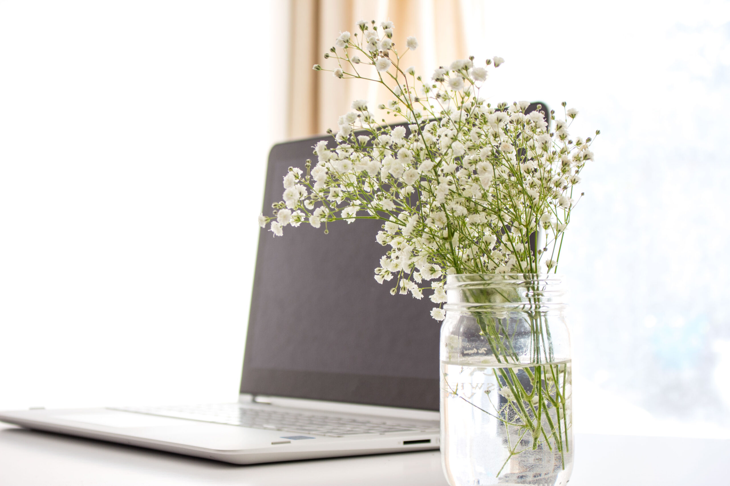 Laptop beside flowers in a jar