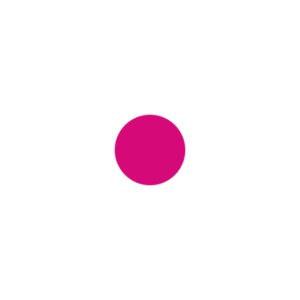 Simple white flower with pink center